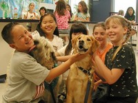 Petcare140 rev iii